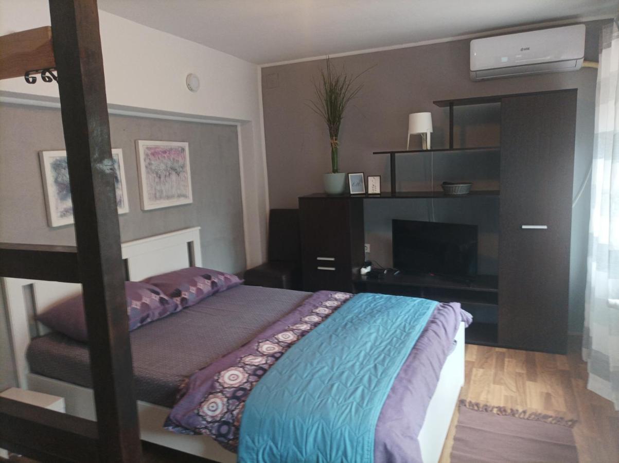 Apartmani Biljana Lazic Vrnjačka Banja Dış mekan fotoğraf