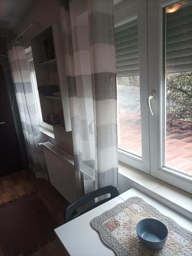 Apartmani Biljana Lazic Vrnjačka Banja Dış mekan fotoğraf