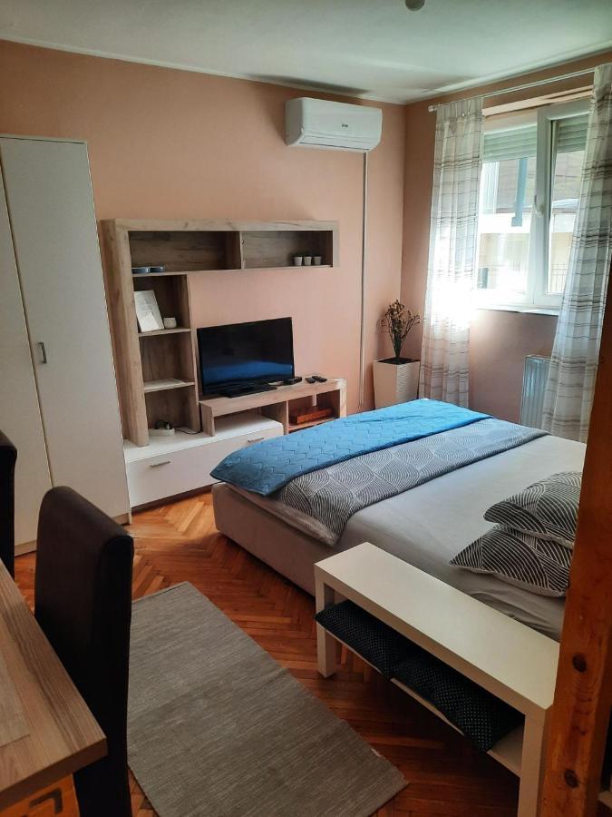 Apartmani Biljana Lazic Vrnjačka Banja Dış mekan fotoğraf