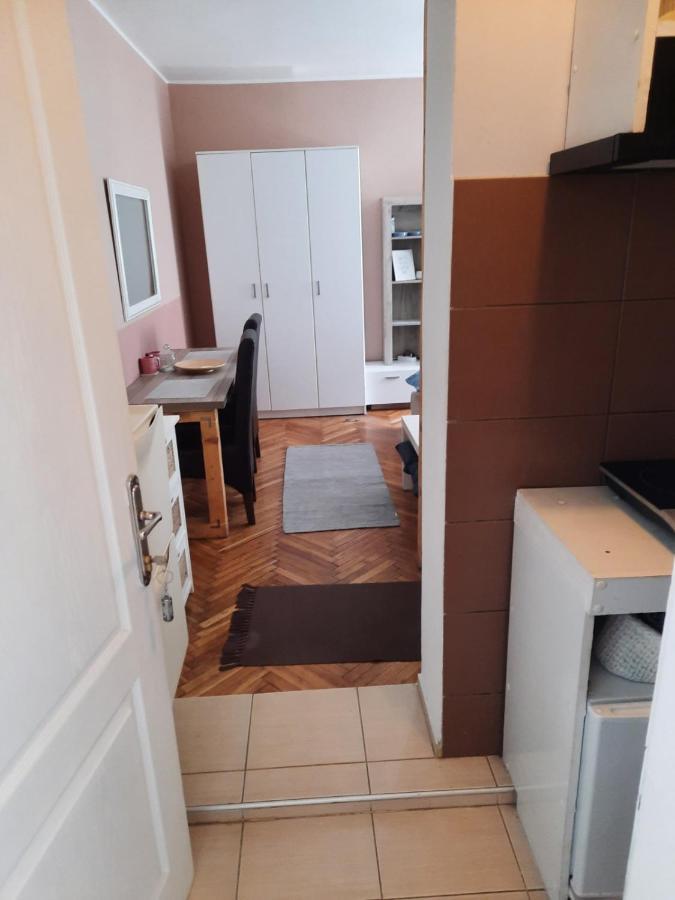 Apartmani Biljana Lazic Vrnjačka Banja Dış mekan fotoğraf
