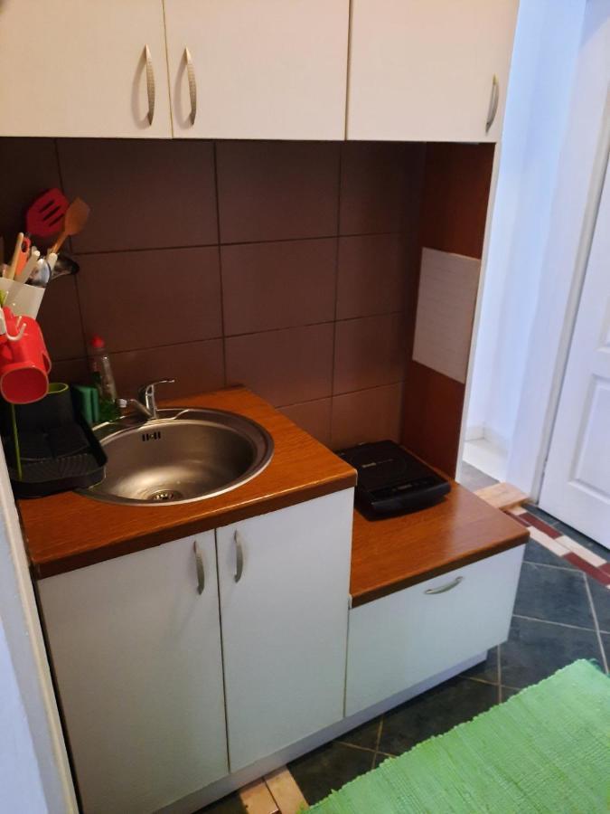 Apartmani Biljana Lazic Vrnjačka Banja Dış mekan fotoğraf
