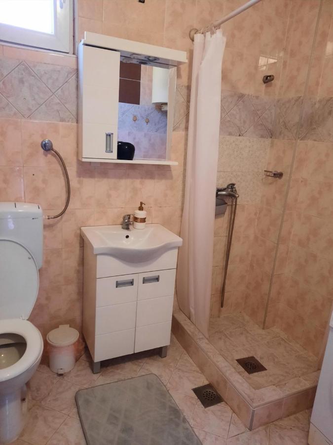 Apartmani Biljana Lazic Vrnjačka Banja Dış mekan fotoğraf