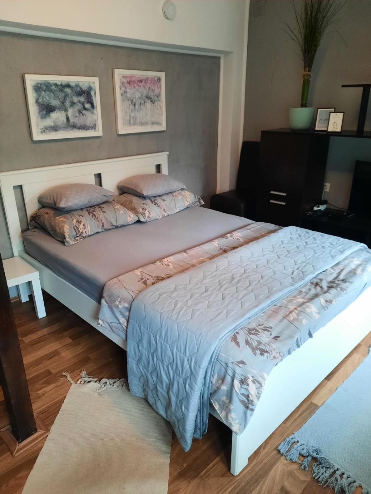Apartmani Biljana Lazic Vrnjačka Banja Dış mekan fotoğraf